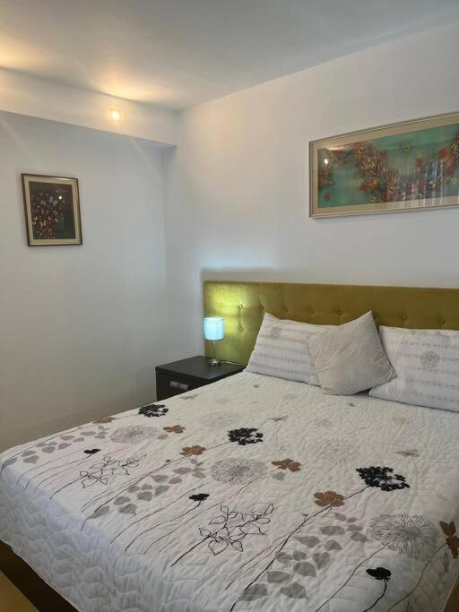 Apartament Theta- Langa Centru, Cada Hidromasaj スチャヴァ エクステリア 写真